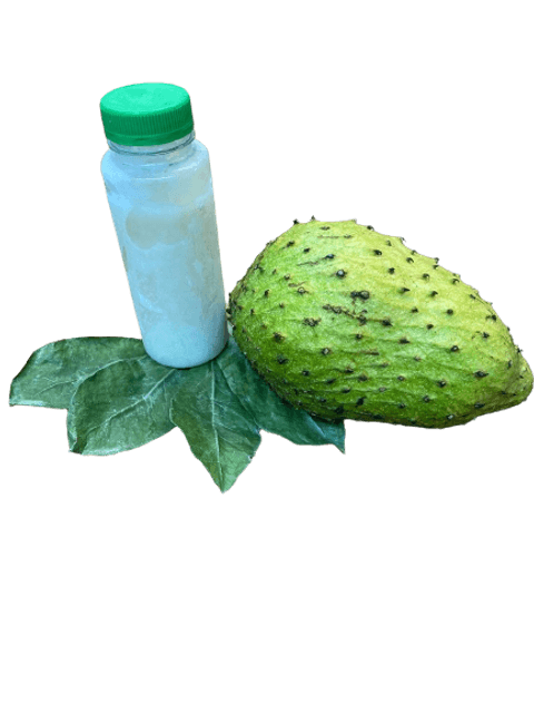 Graviola fruit sale